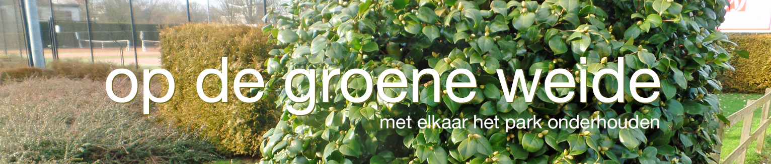 Op de groene weide